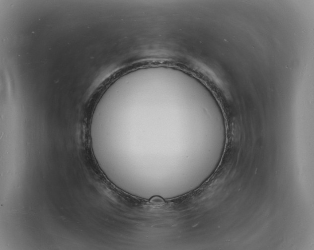 X0000112141352200908211344