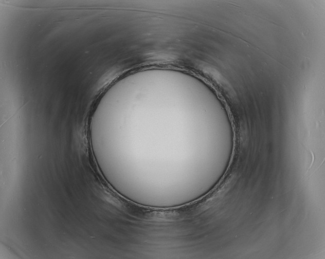 X0000112141354200908211344