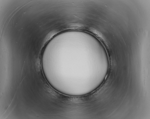 X0000112141362200908211344