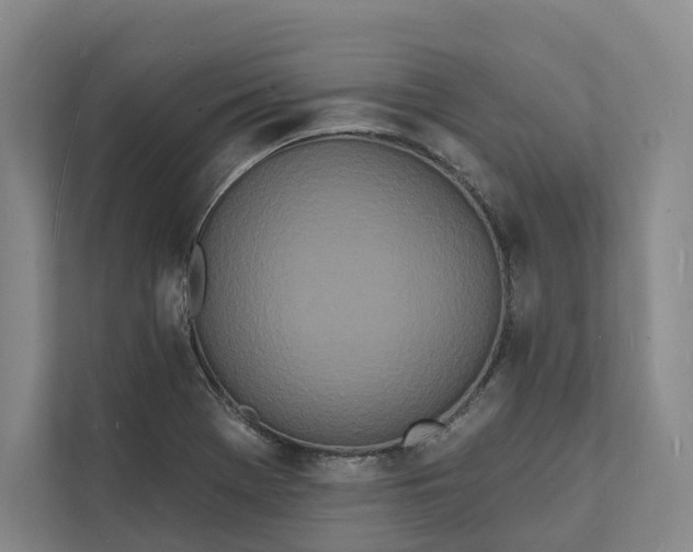 X0000112141369200908211344