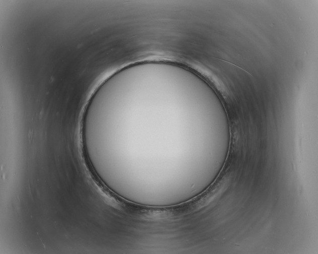 X0000112141375200908211344