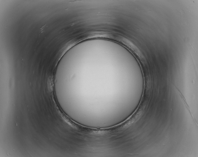 X0000112141377200908211344