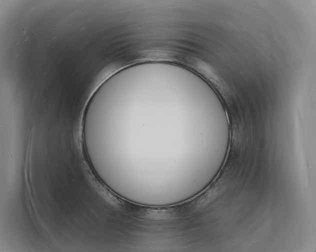 X0000112141378200908211344