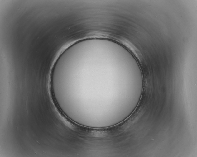 X0000112141379200908211344