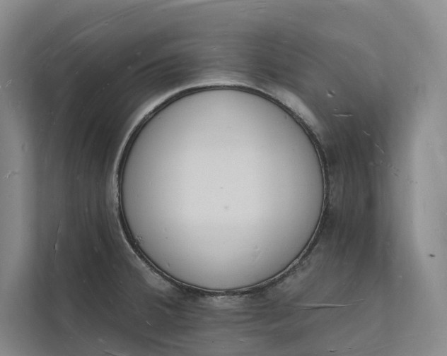 X0000112141380200908211344