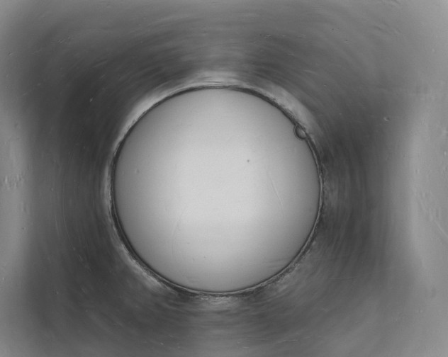 X0000112141382200908211344