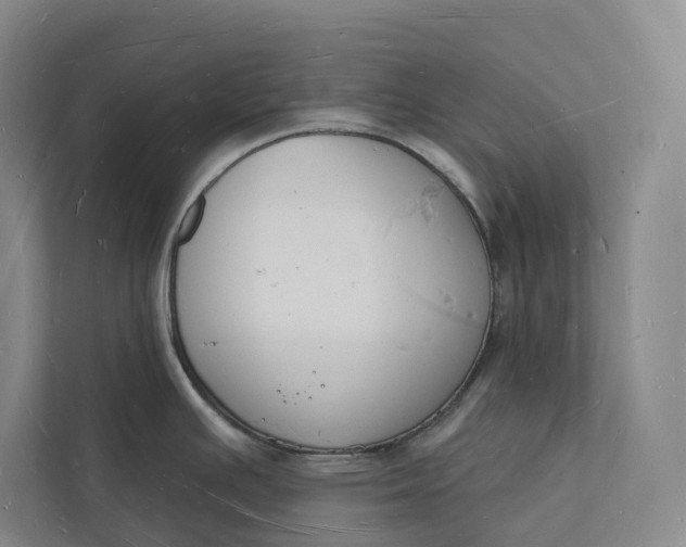 X0000112141391200908211344