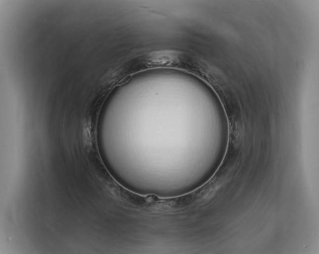 X0000112141394200908211343