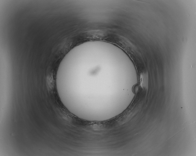 X0000112141395200908211343