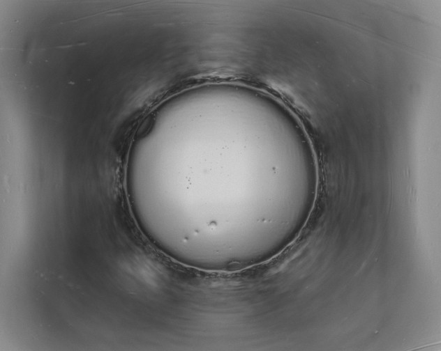 X0000112141399200908211343