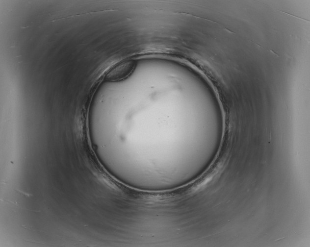 X0000112141401200908211343