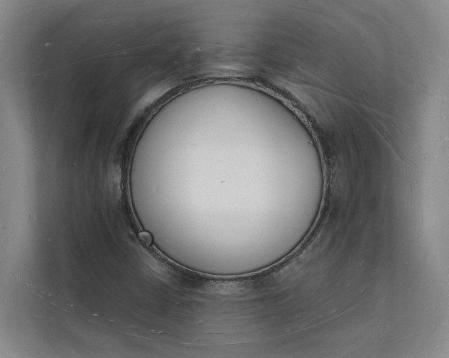 X0000112141402200908211343