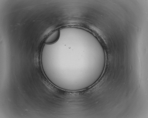 X0000112141403200908211343