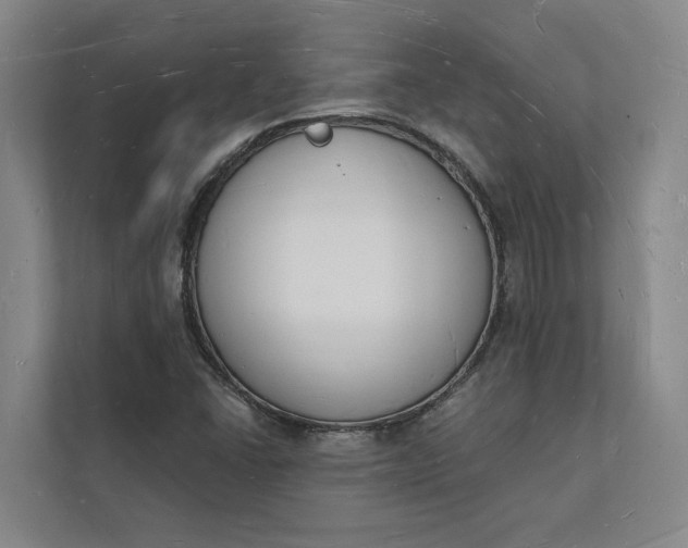 X0000112141406200908211343