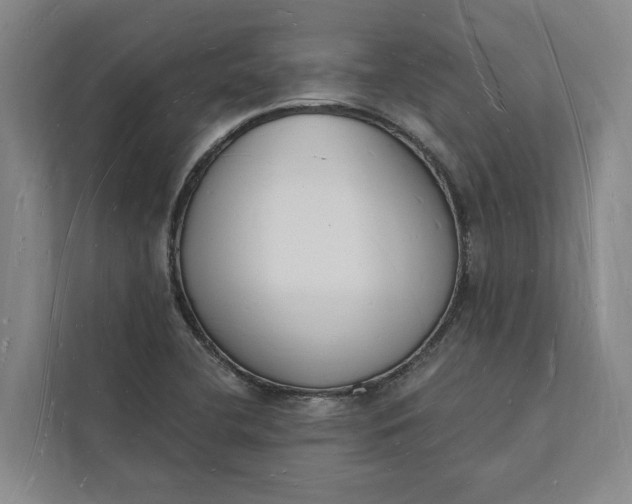 X0000112141412200908211344