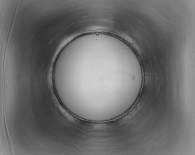 X0000112141421200908211344