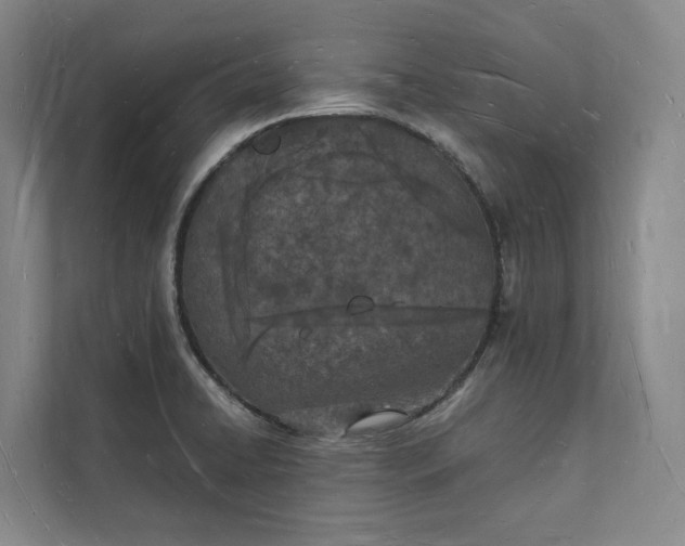 X0000112141422200908211344