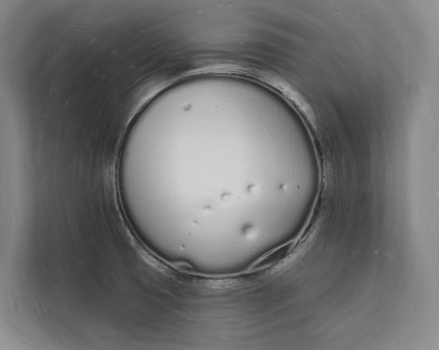 X0000112141425200908211344