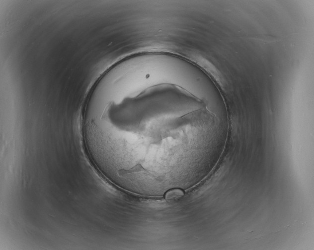 X0000112141428200908211344