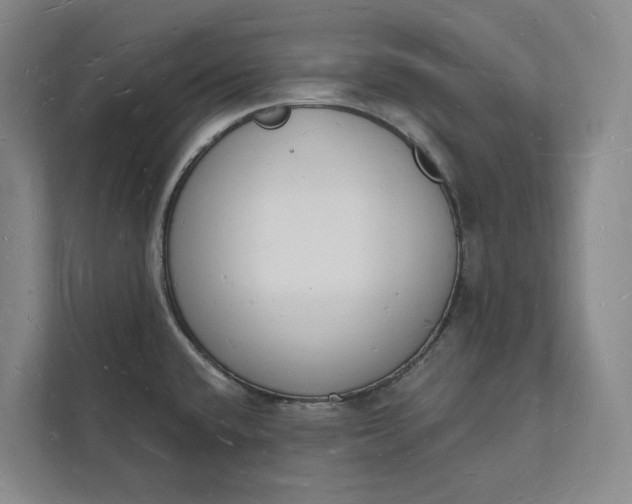 X0000112141432200908211344