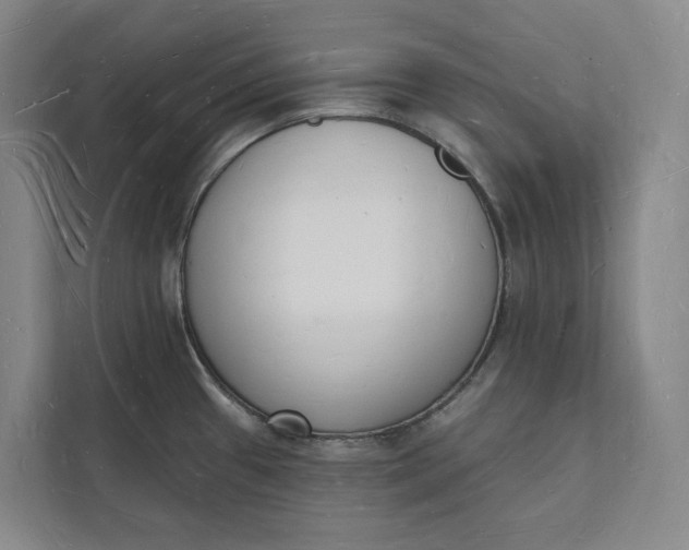 X0000112141433200908211344