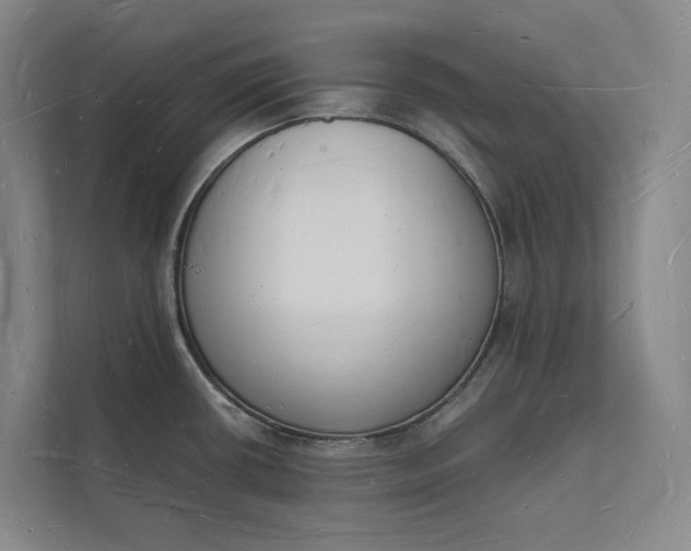 X0000112141434200908211344