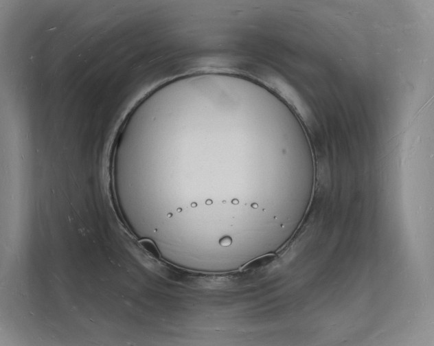 X0000112141435200908211344