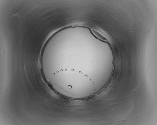 X0000112141436200908211344