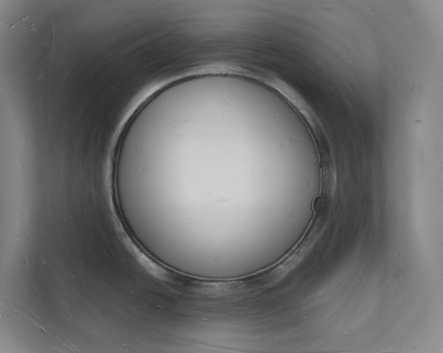 X0000112141438200908211344