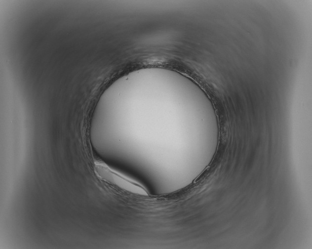 X0000112141441200908211343