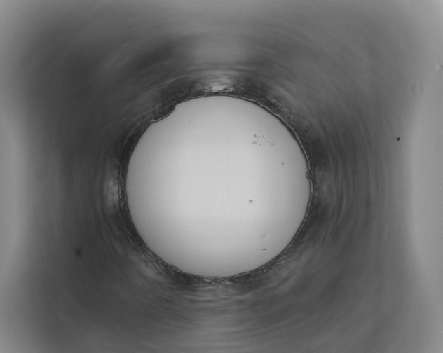 X0000112141442200908211343