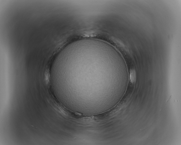 X0000112141444200908211343