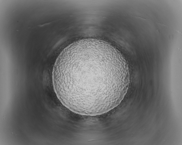 X0000112141446200908211343