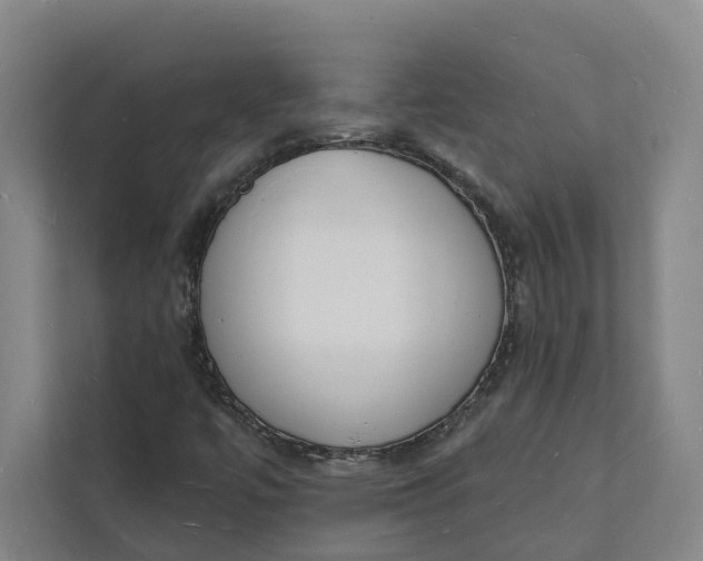 X0000112141447200908211343