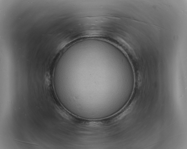 X0000112141449200908211343