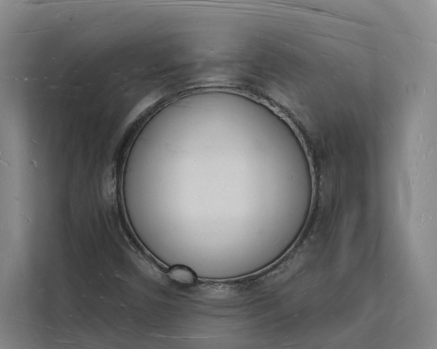 X0000112141450200908211343