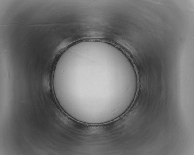 X0000112141451200908211343