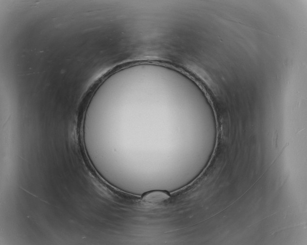 X0000112141452200908211343