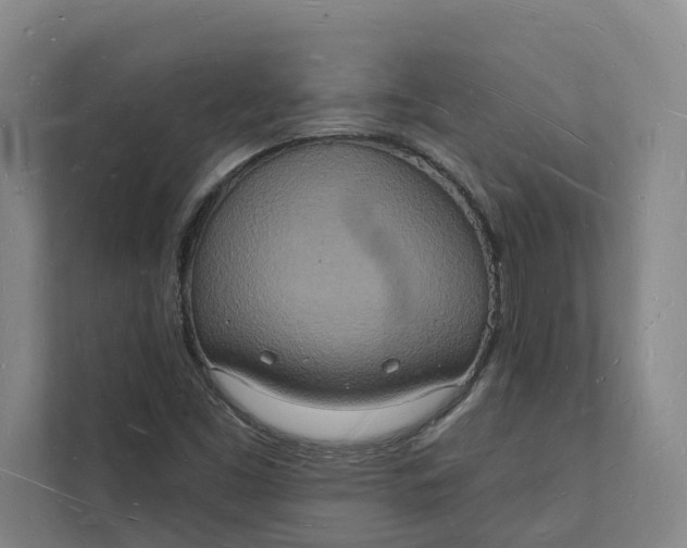 X0000112141453200908211343