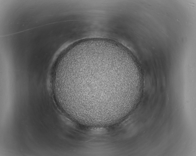 X0000112141454200908211343