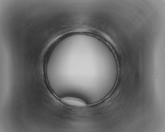 X0000112141456200908211343