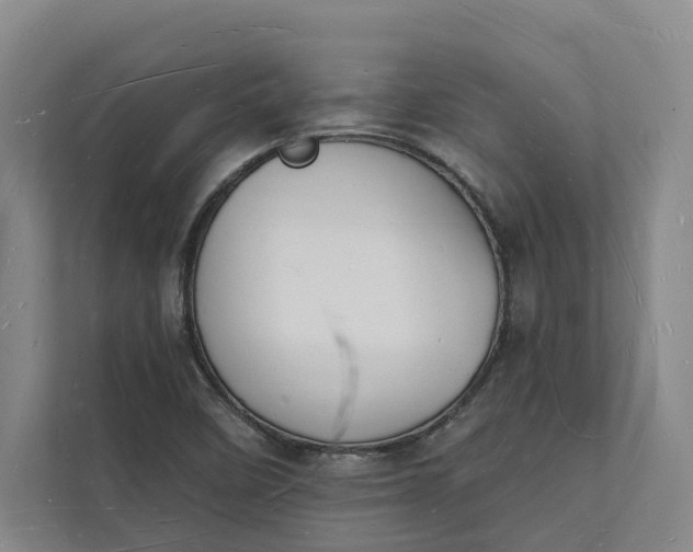 X0000112141458200908211343