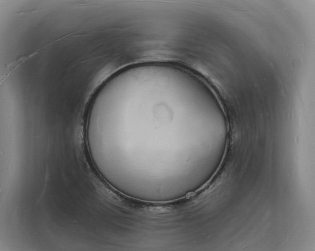 X0000112141459200908211343