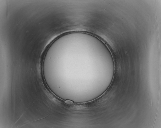 X0000112141460200908211343