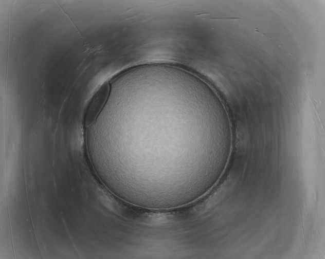 X0000112141461200908211343