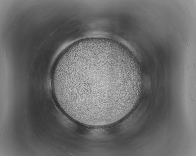 X0000112141462200908211343