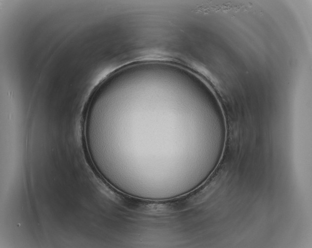 X0000112141463200908211343