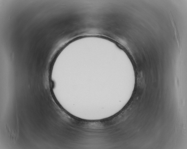 X0000112141464200908211343