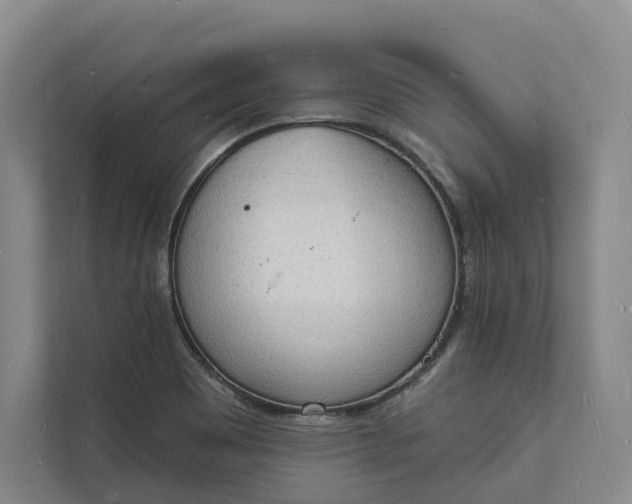 X0000112141465200908211343