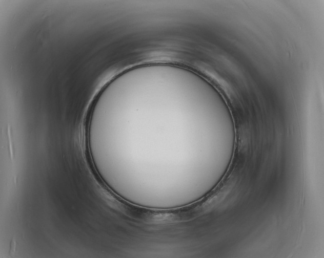 X0000112141467200908211343